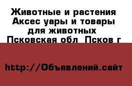 Животные и растения Аксесcуары и товары для животных. Псковская обл.,Псков г.